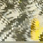 antioxidants skincare vitamin c vitamin e