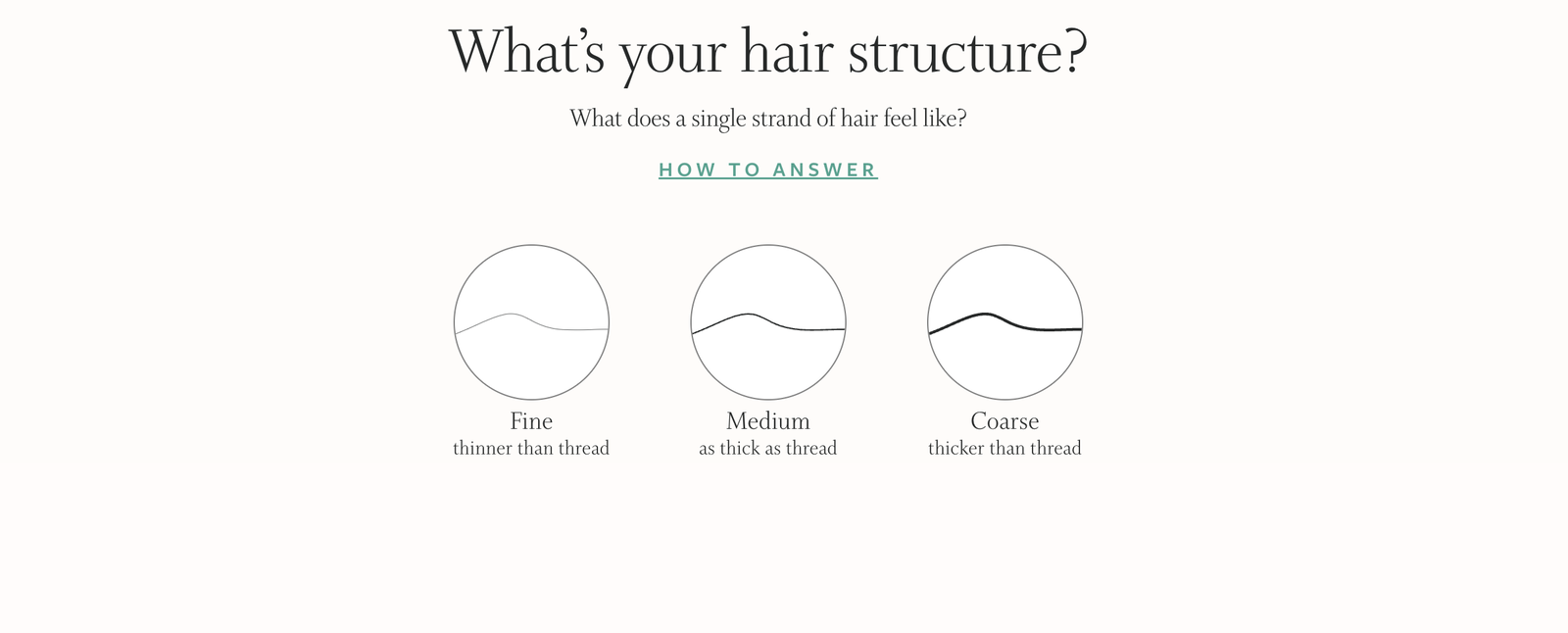 Function of Beauty review