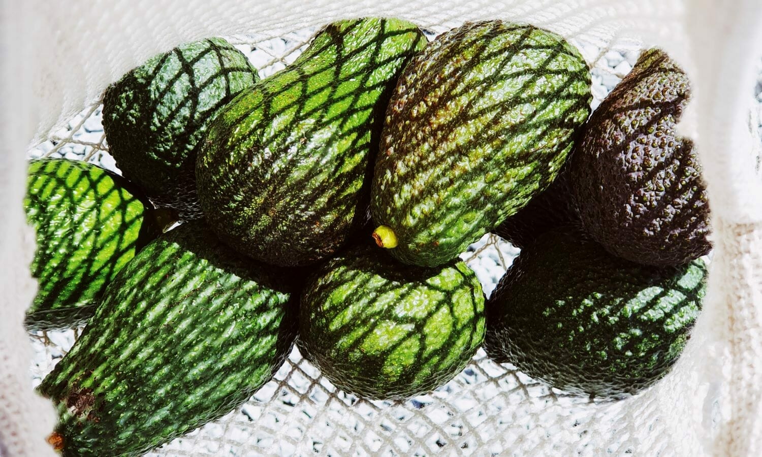 An avocado recipe for healthy skin