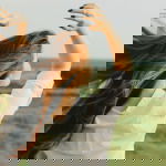 How long does it take for hair to grow?