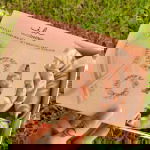 Can This Viral Product Really Create Heatless Curls? invisibobble curling set