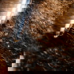 Woman having hair brushed demonstrating the importance of healthy hair from trichologists like Philip Kingsley