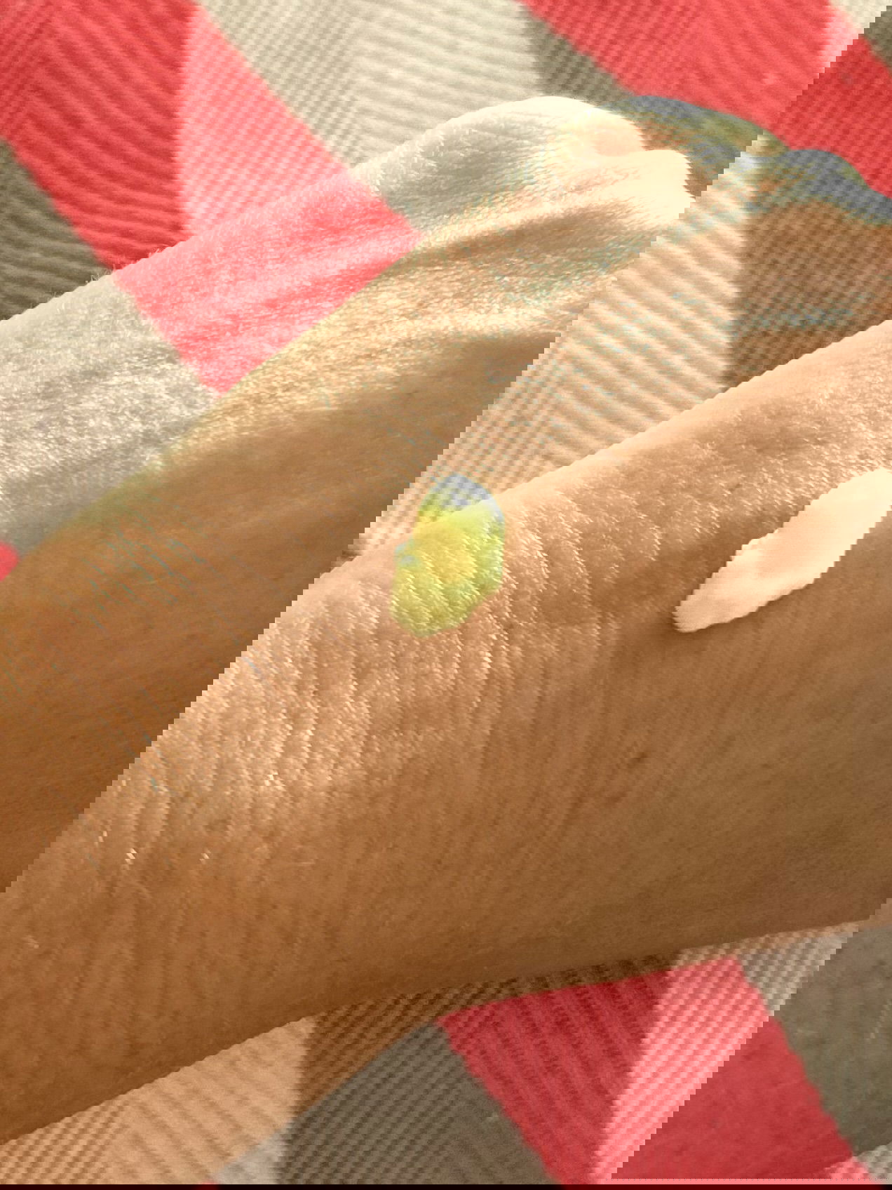 sol de janeiro foot care