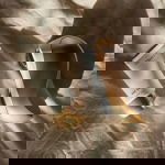 Sensica's Sensifirm and base gel